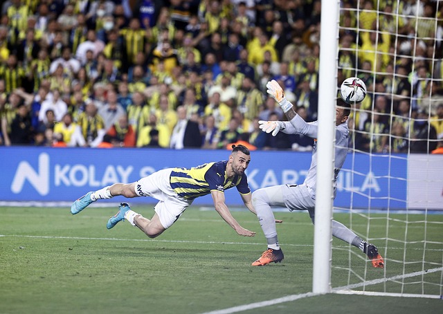 678体育官网平台